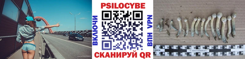 цена наркотик  Миньяр  Галлюциногенные грибы Psilocybine cubensis 